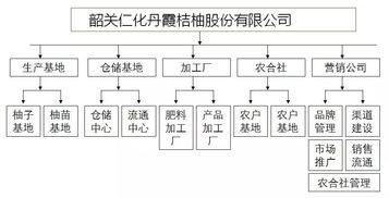 中擂品牌營銷策劃案例 長壩桔柚柚子水果市場營銷策劃